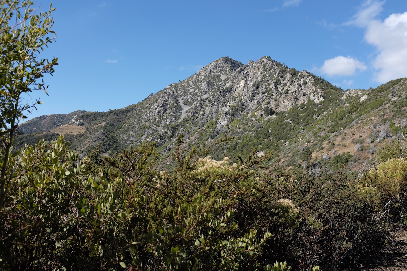 View of Cone Peak