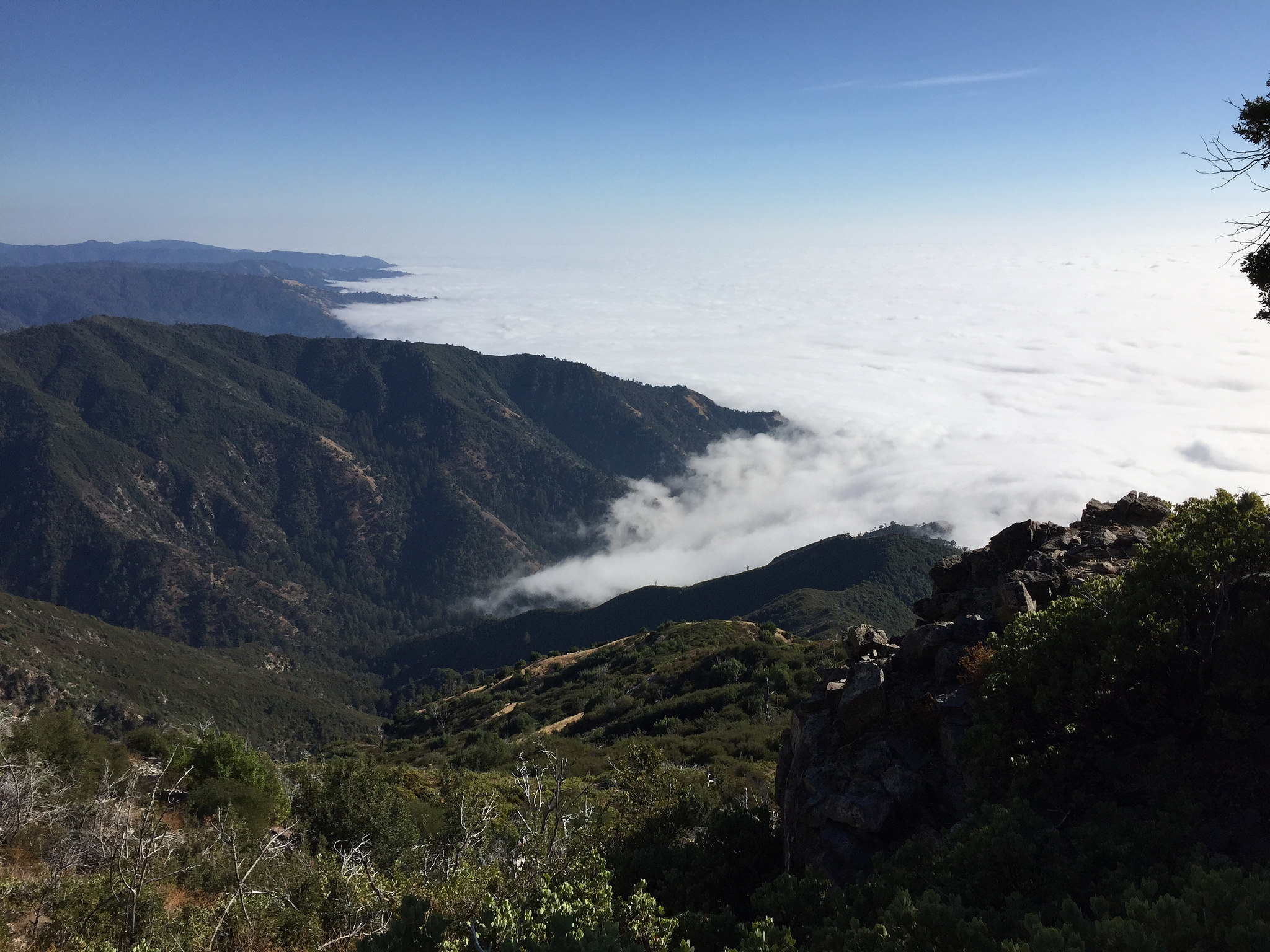 View of fog on the coastline from near Cone Peak