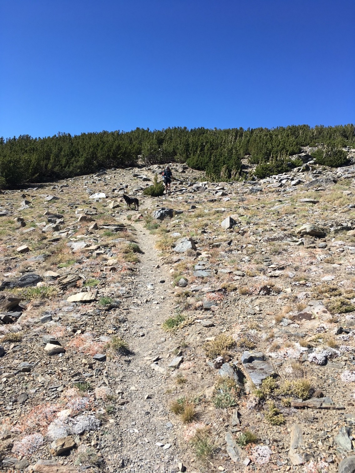 Connecting to Rim Trail